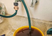 Inició el ORFIS auditorías a Grupo MAS, informa Ayuntamiento de Veracruz