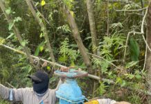 Se restablecerá servicio de agua en colonias del poniente de Coatza en un lapso de 48 a 72 horas