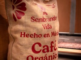 Presenta Sembrando Vida CACfetería en Reforma: café y productos de comunidades indígenas veracruzanas sin intermediarios