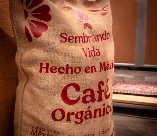 SADER afirma que en Veracruz ha crecido la producción de café en los últimos tres años