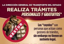 Licencias sin intermediarios: SSP llama a proteger tu trámite y tu dinero
