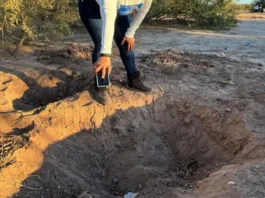 La crisis forense; Veracruz, 2o lugar / Raymundo Jiménez