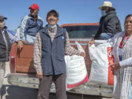 Lleva AGRICULTURA entrega gratuita de fertilizantes en Veracruz