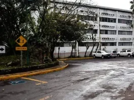 La ‘hermandad’ del Bienestar / Raymundo Jiménez