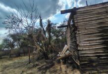 Responde Gobierno de Tantoyuca con apoyo inmediato a familias afectadas por incendio en Palmital San Lorenzo