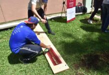 Juventud xalapeña impulsa la creación de huertos comunitarios