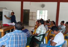 AVELI impulsa enseñanza de lenguas indígenas con 22 cursos en Veracruz