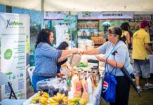 Con 50 expositores, el Ayuntamiento invita al Mercado Bicentenario este fin de semana