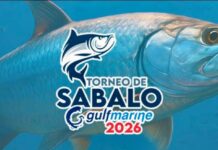 Reunirá Veracruz a la élite de la pesca deportiva en el Torneo de Sábalo “Gulf Marine 2026”