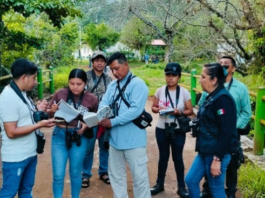 Conanp capacita a jóvenes de la RB Los Tuxtlas para el monitoreo de aves