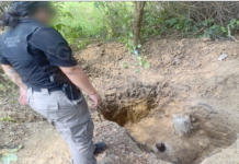 FGR asegura toma clandestina de hidrocarburo en José Azueta