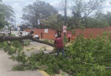 Saldo blanco y afectaciones menores en la ciudad de Veracruz por frente frío 48