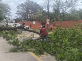 Saldo blanco y afectaciones menores en la ciudad de Veracruz por frente frío 48