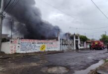 Acción oportuna de Bomberos de Veracruz controla dos incendios en la ciudad