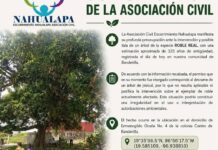 Alarma en Banderilla por amenaza a Roble Real de tres siglos