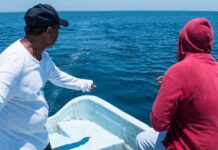 Veracruz activará en mayo apoyos económicos para 20 mil pescadores afectados por hidrocarburos