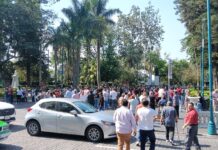 Evacuan edificios en Xalapa tras sismo con epicentro en Oaxaca