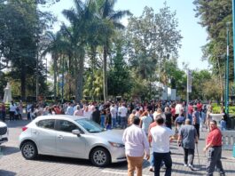 Evacuan edificios en Xalapa tras sismo con epicentro en Oaxaca