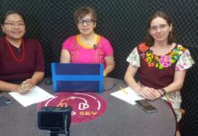 Amplía AVELI alcance de contenidos en lenguas indígenas en radio y redes sociales