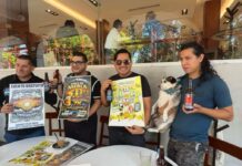 Cerveza artesanal en Xalapa: el reto de competir con la industria