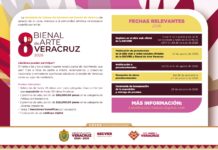 Emite SECVER convocatoria para participar en la Bienal de Arte Veracruz 2026
