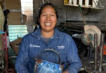 Madres veracruzanas: participación económica y estructura demográfica
