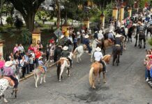 Colorida Cabalgata del Café en Coatepec 2026
