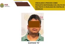 Vinculan a proceso a presunto agresor de un perro en Poza Rica
