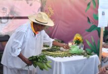 Saberes que perduran: pueblos originarios comparten su herencia en Yolpaki
