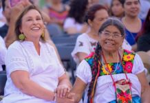 La política en rosa / Elsbeth Lenz