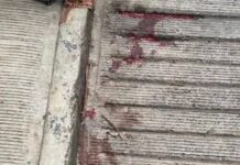 Exigen justicia en Xalapa por presunto caso de crueldad animal