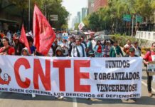 Maestros veracruzanos de la CNTE se sumarán a marcha nacional de protesta