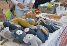 Promueve SEV una educación inclusiva y equitativa con Manos con Talento