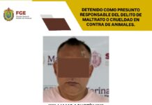 Capturan a presunto agresor de un perro en Veracruz