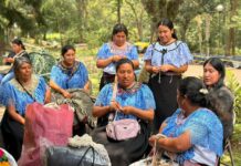 Realizan SECVER y FONART tercera jornada de acopio artesanal en Xalapa