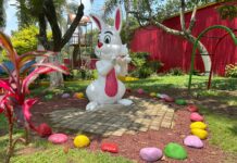 Parque Murillo Vidal, referente de recreación y convivencia en Xalapa