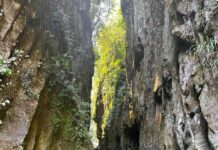 Garantizan acceso seguro a cañones de Pextlan ante restricciones en puente de Texolo