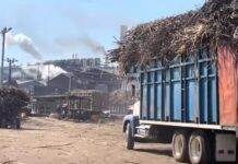 Mercado desleal e importación de fructosa de EEUU estrangulan al sector azucarero veracruzano
