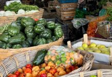 Ingreso laboral, insuficiente frente al costo de la canasta alimentaria: INEGI