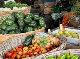 Ingreso laboral, insuficiente frente al costo de la canasta alimentaria: INEGI