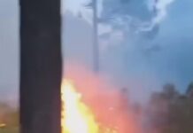 Alerta en Las Vigas por nuevo incendio en reserva ecológica de San Juan del Monte