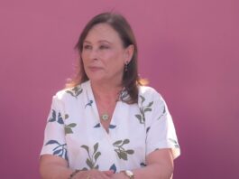 Rocío Nahle desmiente localización de comunicadora Roxana Guzmán; refuerzan su búsqueda