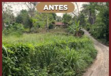 Roberto San Román impulsa rescate de espacios públicos para mejorar la imagen y seguridad de Tantoyuca