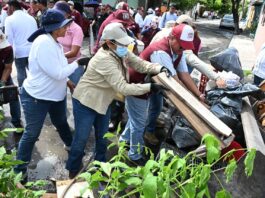 Con respaldo ciudadano y trabajo en territorio, avanza la transformación de Veracruz: Rosa María