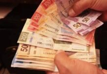 Veracruz y las pensiones doradas / Yamiri Rodríguez Madrid