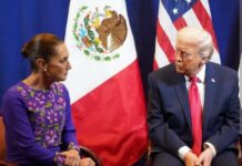 Trump: más ‘terrorismo’ contra Sheinbaum / Raymundo Jiménez