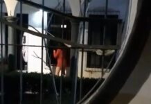 Mujer causa destrozos; vecinos de la “Miguel Alemán” temen por su seguridad