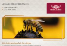 Invita SECVER a jornadas medioambientales en el MAEV
