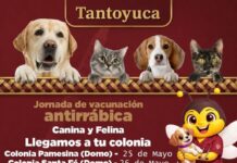 Arranca Campaña de Vacunación Antirrábica en Tantoyuca