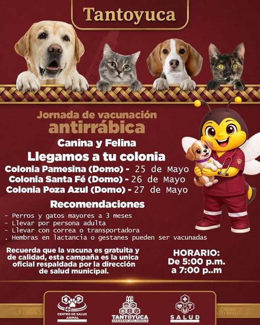 cartel